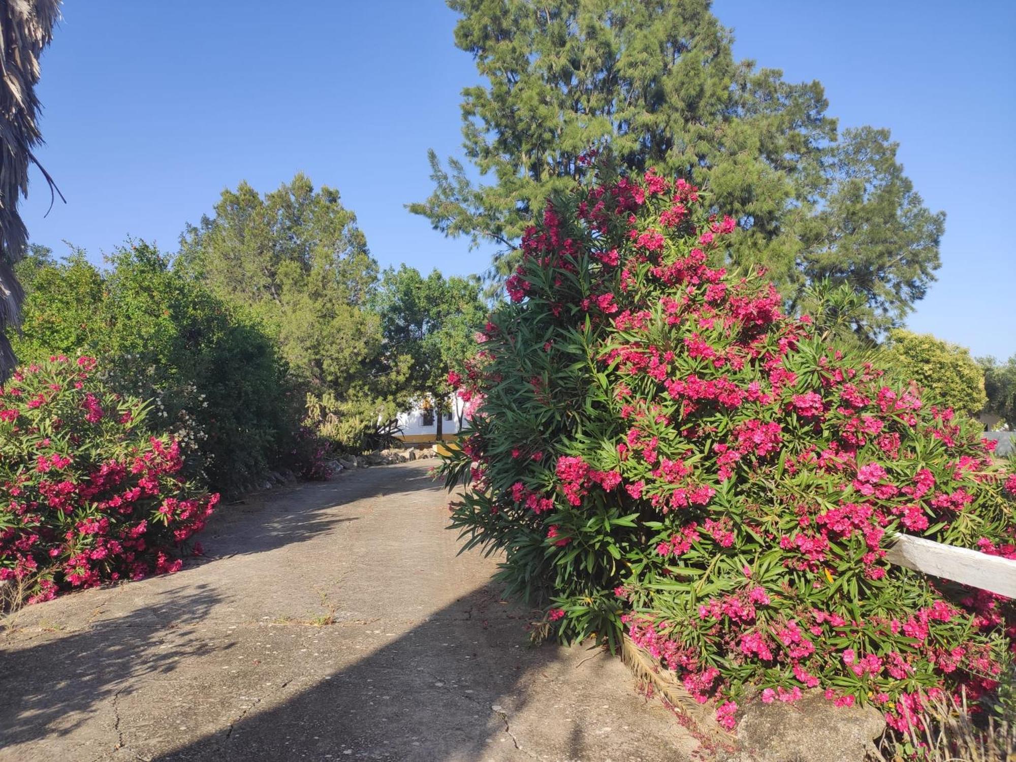Cortijo El Morisco. Διαμέρισμα Espera Εξωτερικό φωτογραφία